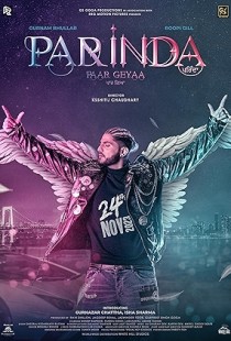 Parinda Paar Geyaa (2023) Web-DL 720p hevc [Punjabi]