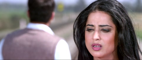 Shareek (2015) Web-DL 1080p h264 [Punjabi]