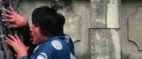 Fearless Hyena 2 (1983) BluRay 720p h264 [Hindi-Chinese]