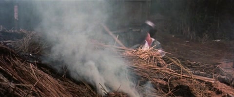 Fearless Hyena 2 (1983) BluRay 720p h264 [Hindi-Chinese]