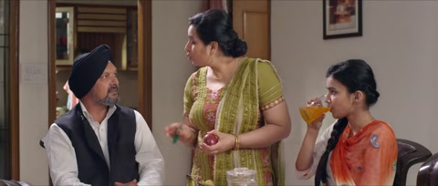 Baaz (2014) Web-DL 720p hevc [Punjabi]