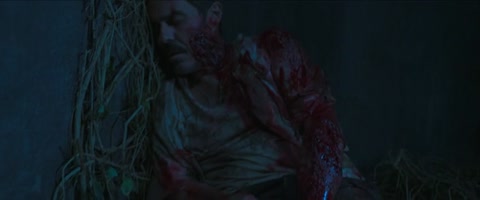 The Bayou (2025) Web-DL 480p h264 [Hindi-English]