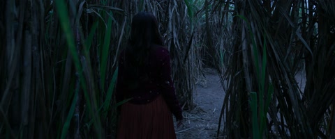 Chhorii (2021) Web-DL 2160p hevc [Hindi]