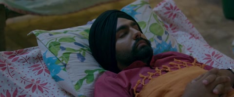 Nikka Zaildar (2016) Web-DL 480p h264 [Punjabi]