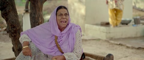 Nikka Zaildar (2016) Web-DL 480p h264 [Punjabi]