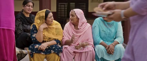 Rose Rosy Te Gulab (2024) Web-DL 480p h264 [Punjabi]