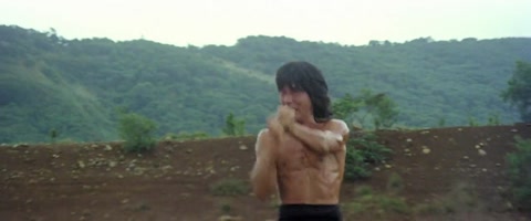 The Fearless Hyena (1979) BluRay 720p h264 [Hindi-Chinese]