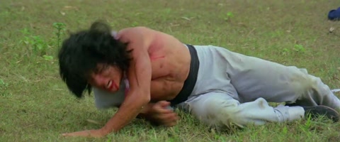 The Fearless Hyena (1979) BluRay 720p h264 [Hindi-Chinese]