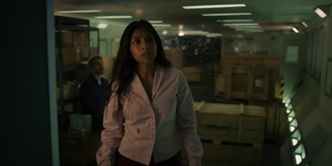 Fight or Flight (2024) Web-DL 720p h264 [Hindi-English]
