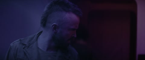 Ash (2025) Web-DL 2160p hevc [Hindi-German-English]