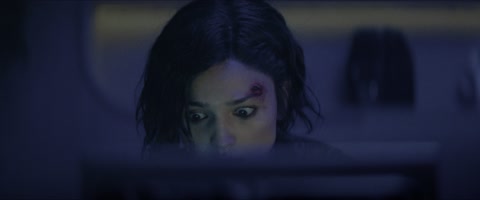 Ash (2025) Web-DL 2160p hevc [Hindi-German-English]