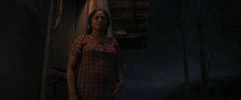 Pravinkoodu Shappu (2025) Web-DL 720p h264 [Hindi-Malayalam]