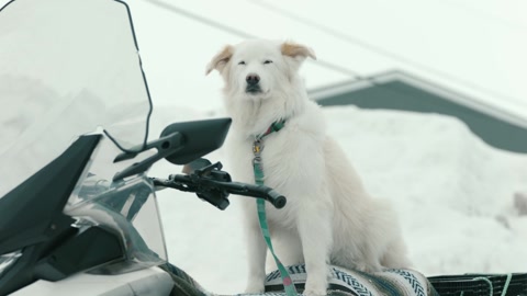 North of North (2025) S01 E03 Web-DL 1080p h264 [English-Hindi]