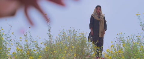 Shayar (2024) Web-DL 720p h264 [Punjabi]