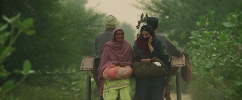 Shayar (2024) Web-DL 720p h264 [Punjabi]