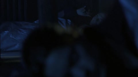 Screamers: The Hunting (2009) BluRay 720p hevc [Hindi-English]
