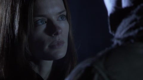 Screamers: The Hunting (2009) BluRay 720p hevc [Hindi-English]