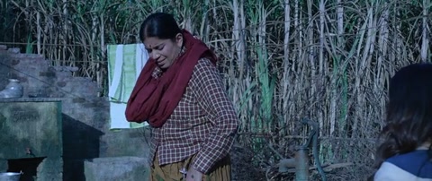 Chhorii (2021) Web-DL 480p h264 [Hindi]