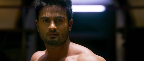 Baaghi (2016) BluRay 1080p h264 [Hindi]
