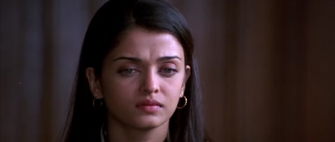 Provoked (2006) Web-DL 480p h264 [Hindi-English]
