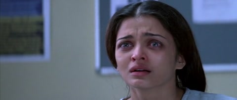 Provoked (2006) Web-DL 480p h264 [Hindi-English]