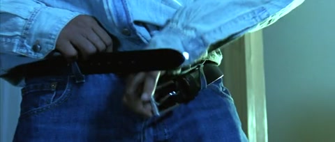 Provoked (2006) Web-DL 480p h264 [Hindi-English]