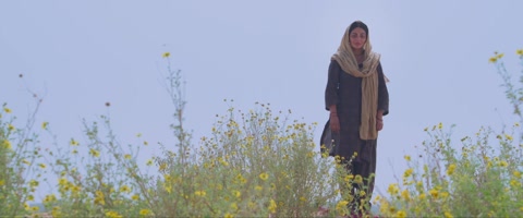 Shayar (2024) Web-DL 1080p h264 [Punjabi]
