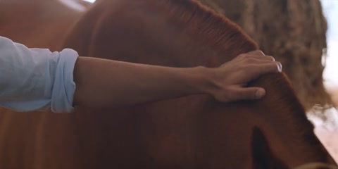 The Royals (2025) S01 E07 Web-DL 720p h264 [Hindi]