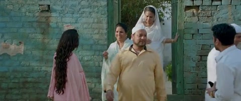 Shorgul (2016) Web-DL 480p h264 [Hindi]