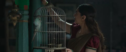 Sufiyum Sujatayum (2020) Web-DL 720p hevc [Hindi-Malayalam]