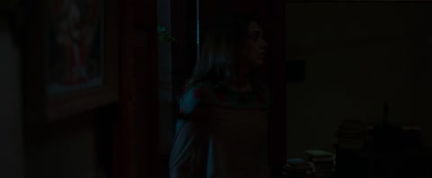 Sufiyum Sujatayum (2020) Web-DL 720p hevc [Hindi-Malayalam]