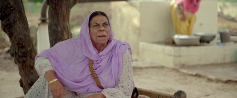 Nikka Zaildar (2016) Web-DL 1080p hevc [Punjabi]
