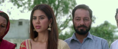 Nikka Zaildar (2016) Web-DL 1080p hevc [Punjabi]