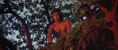 Adventures of Tarzan (1985) Web-DL 480p h264 [Hindi]