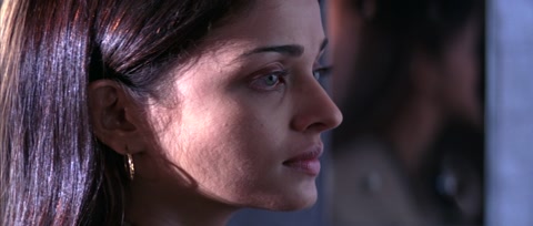 Provoked (2006) Web-DL 1080p hevc [Hindi-English]