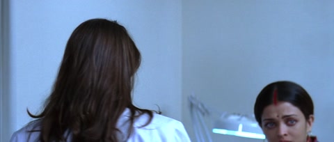 Provoked (2006) Web-DL 1080p hevc [Hindi-English]