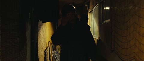 Shinjuku Incident (2009) BluRay 720p hevc [Hindi-Chinese]