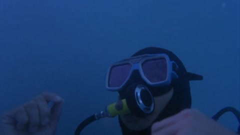 Shark Attack 2 (2000) Web-DL 720p h264 [Hindi-English]