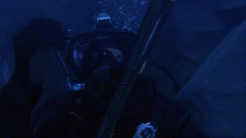Shark Attack 2 (2000) Web-DL 720p h264 [Hindi-English]