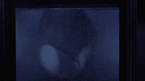 Shark Attack 2 (2000) Web-DL 720p h264 [Hindi-English]