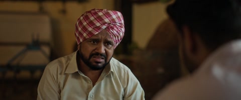 Rose Rosy Te Gulab (2024) Web-DL 1080p h264 [Punjabi]