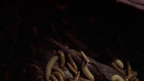 The 4th Floor (1999) BluRay 1080p h264 [Hindi-English]