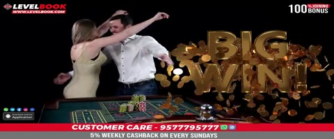 Warning 2 (2024) Cam 480p h264 [Hindi-Punjabi]