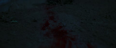 The Bayou (2025) Web-DL 1080p hevc [Hindi-English]
