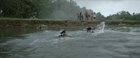 Download The Bayou (2025) Web-DL 1080p hevc [Hindi-English] | Filmy21