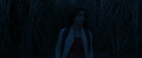 Download Chhorii (2021) Web-DL 720p h264 [Hindi] | Filmy21