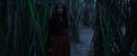 Chhorii (2021) Web-DL 720p h264 [Hindi]
