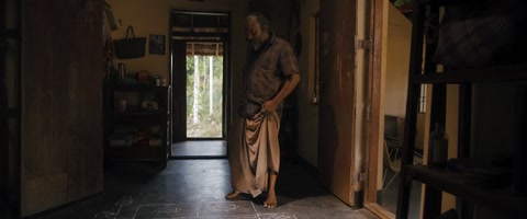Pravinkoodu Shappu (2025) Web-DL 720p hevc [Hindi-Malayalam]