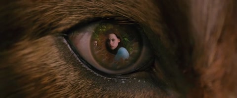 The Twilight Saga: New Moon (2009) BluRay 480p h264 [Hindi-English]