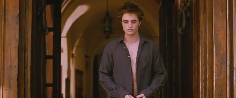 Download The Twilight Saga: New Moon (2009) BluRay 480p h264 [Hindi-English] | Filmy21